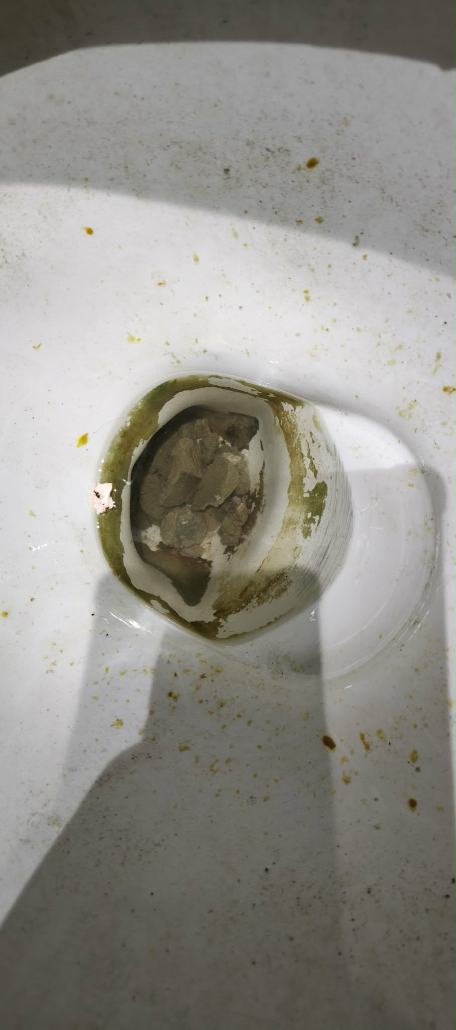 Ummistus WC potis